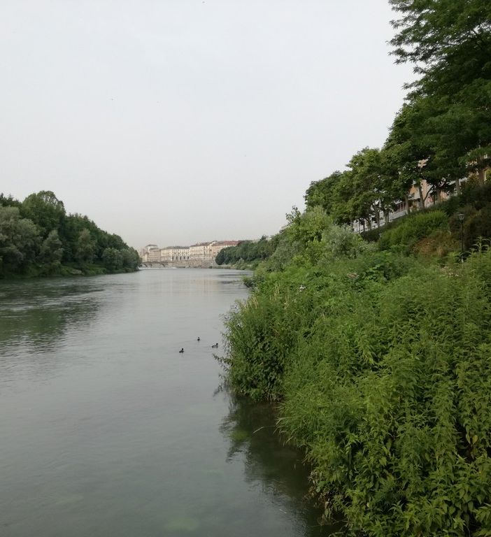 Torino Greenprint, i dati sul verde ricreativo in città