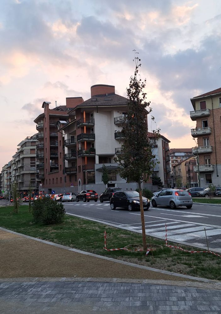 Una piazza, marciapiedi e alberi: un inizio autunno di lavori per la Circoscrizione 7 di Torino