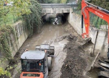 pulizia corsi d'acqua a moncalieri