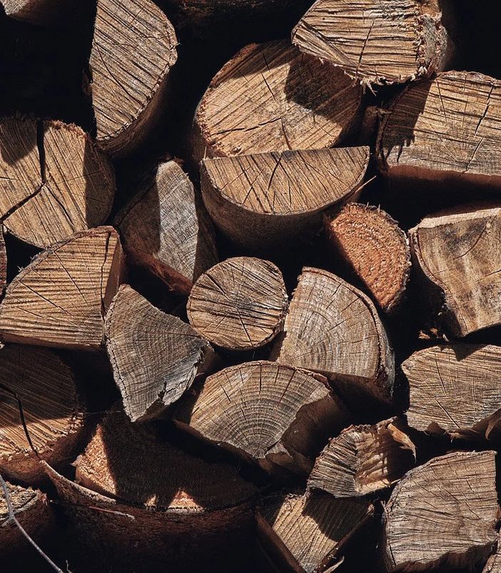 alberi legno
