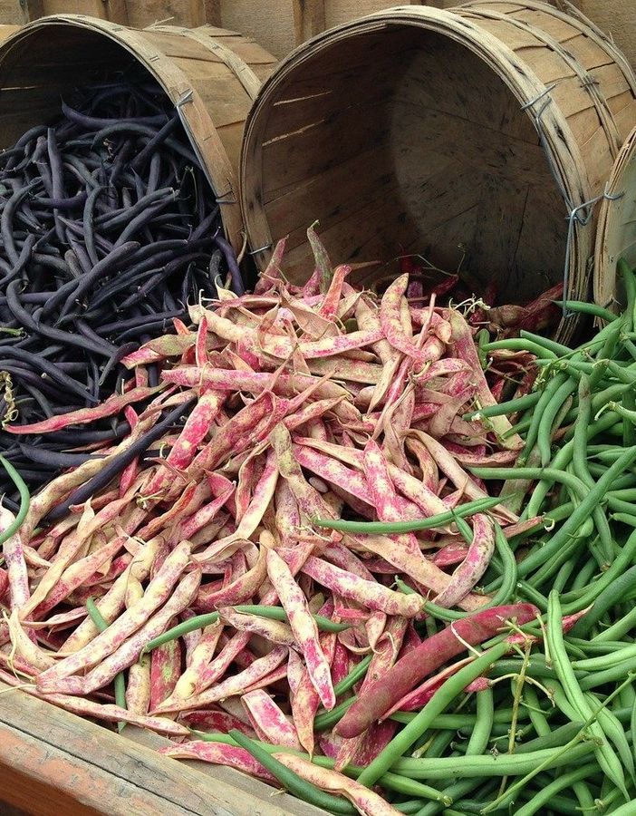 I legumi e le loro proprietà nutrizionali