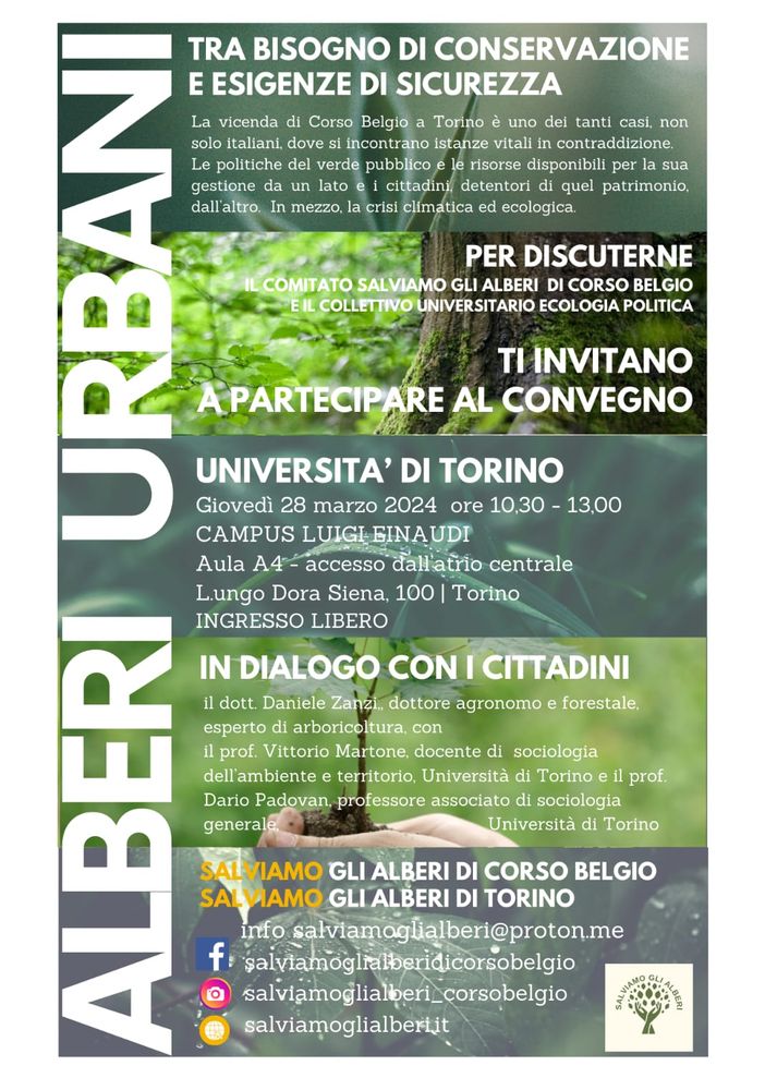 &quot;Alberi urbani: germogli di dialogo all’Università di Torino&quot;