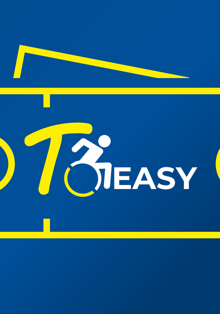 “ToEasy”, il trasporto con minibus a portata di click: a cosa serve e come funziona