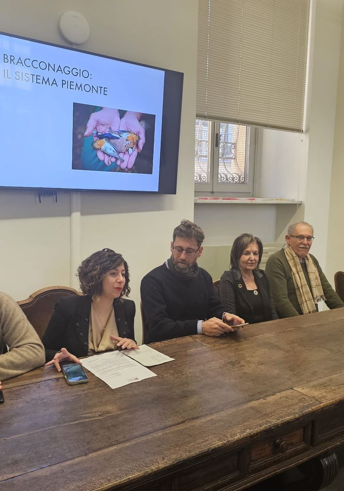 conferenza m5s e foto cani uccisi