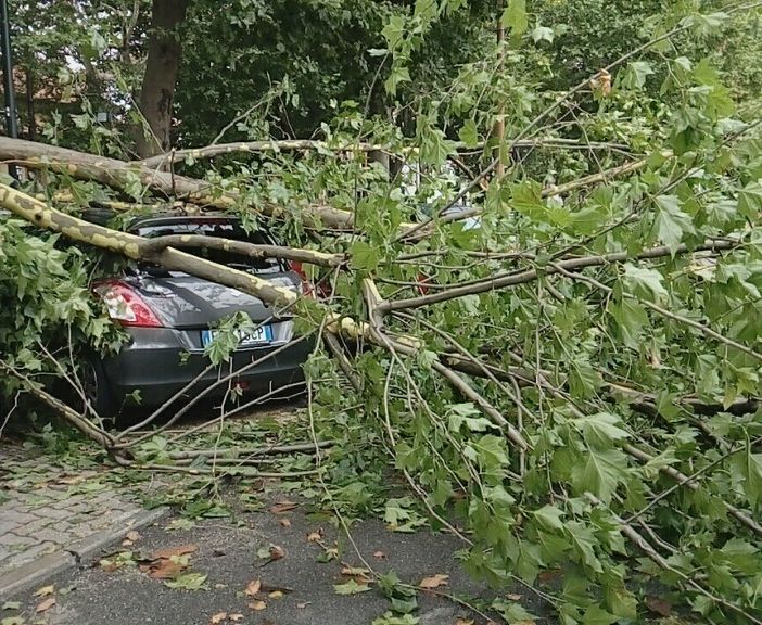 Maltempo: scatta la conta dei danni. Auto distrutta in corso Regina Margherita
