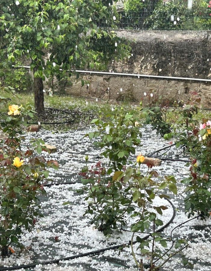 Maltempo: prime frazioni isolate in val Pellice, Murazzi a rischio. Camion si ribalta sulla Torino-Aosta