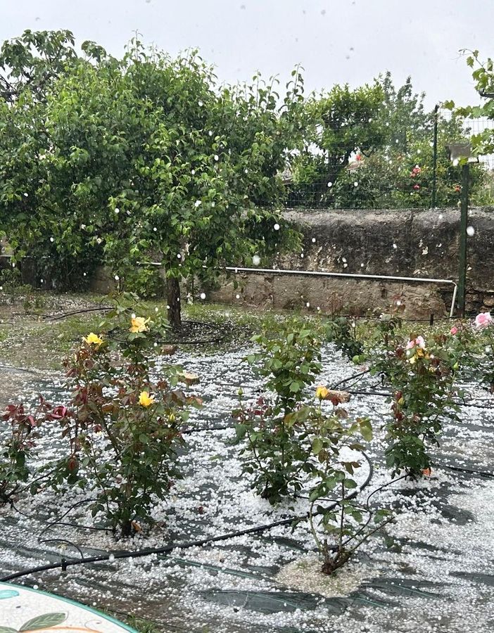 Pioggia battente e grandine su Torino, possibili disagi per la circolazione (FOTO e VIDEO)
