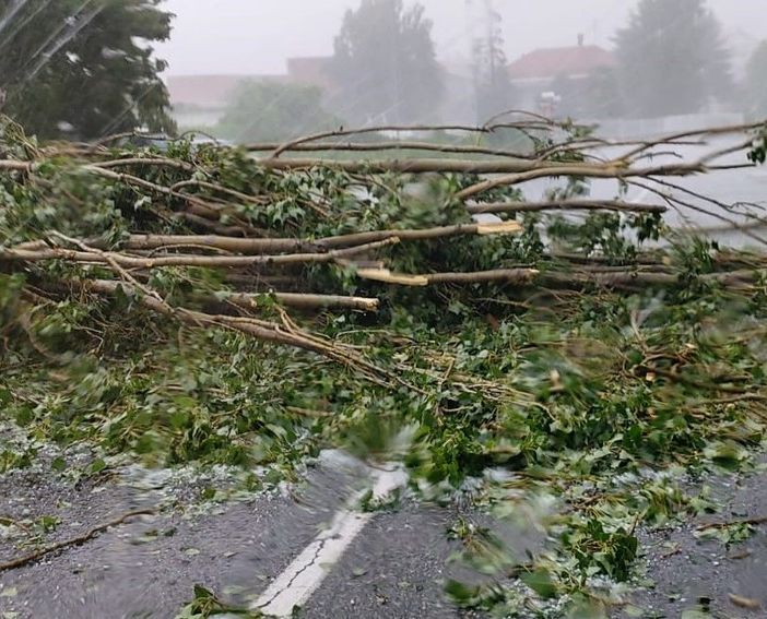 Maltempo, Coldiretti: &quot;La Regione definisca le procedure per ripristinare i terreni alluvionati&quot;