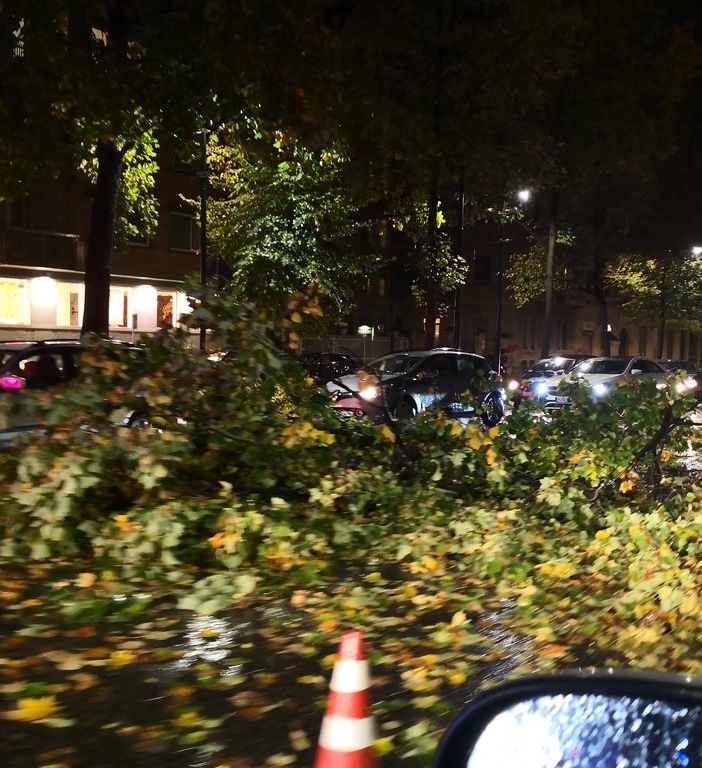 Maltempo: a Torino alberi caduti, trombe d'aria e allagamenti. Un ferito a Lanzo