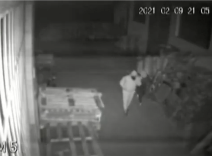 Così la banda assaltava i magazzini di alcolici e prodotti ittici: 100mila euro il bottino - VIDEO