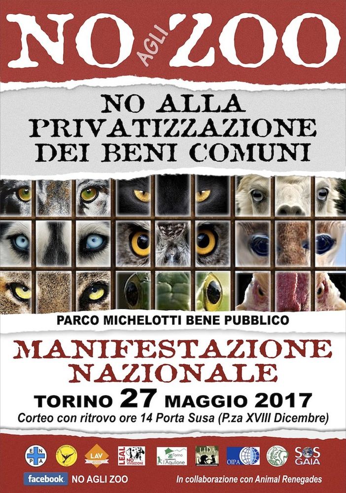 No agli zoo: cittadini e animalisti contro la privatizzazione di Parco Michelotti