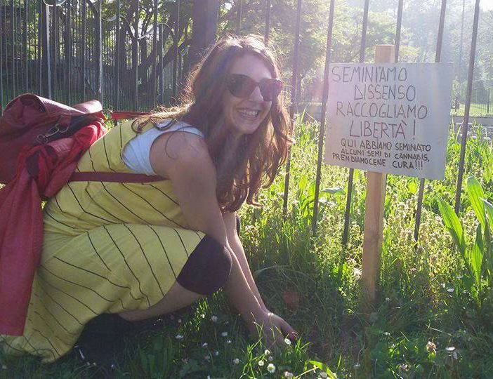 Torino, consigliera del M5S pianta cannabis al Valentino