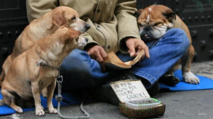 Emergenza freddo, a Torino i rifugi comunali accolgono i clochard e i loro cani
