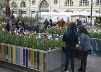 Messer Tulipano torna in Piazza Emanuele Filiberto