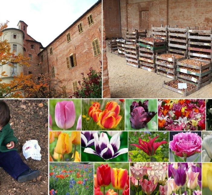 Con Messer Tulipano il parco del Castello di Pralormo si tinge di rosa
