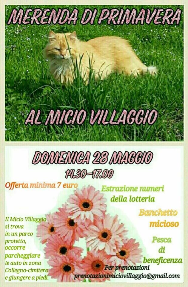 Amici degli animali: arriva la Merenda di Primavera al Micio Villaggio