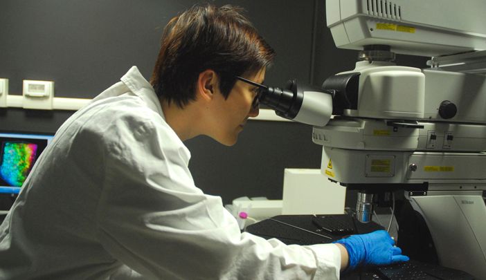 Ringiovanire il cervello? La chiave potrebbero essere i neuroni &quot;immaturi&quot;
