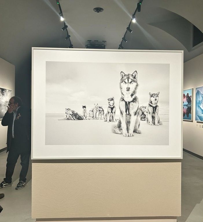 Domani alle Gallerie d'Italia si entra gratis: a Torino le 90 foto di Mittermeier