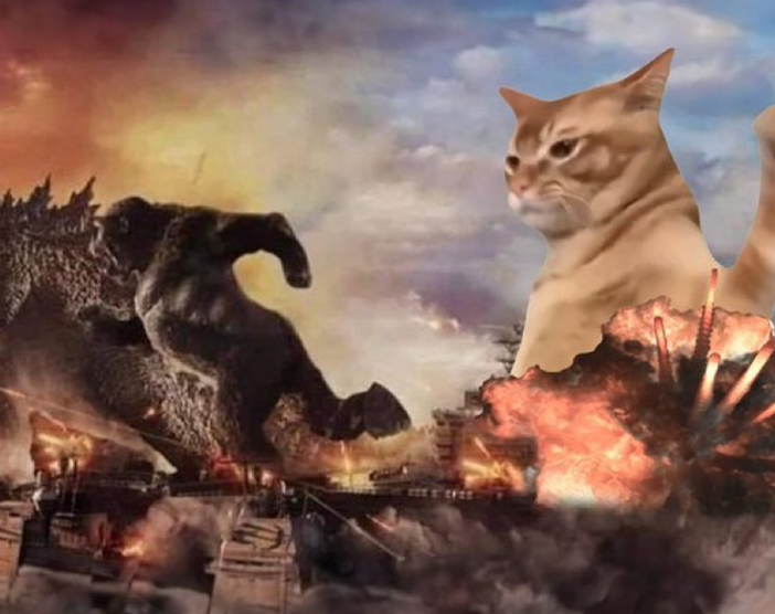 Come comprare la nuova meme coin Catslap