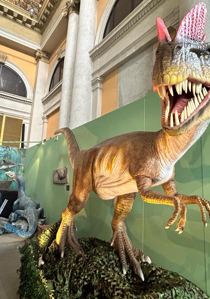 Dal Tirannosauro allo Spinosauro: a Porta Nuova sono tornati i Dinosauri
