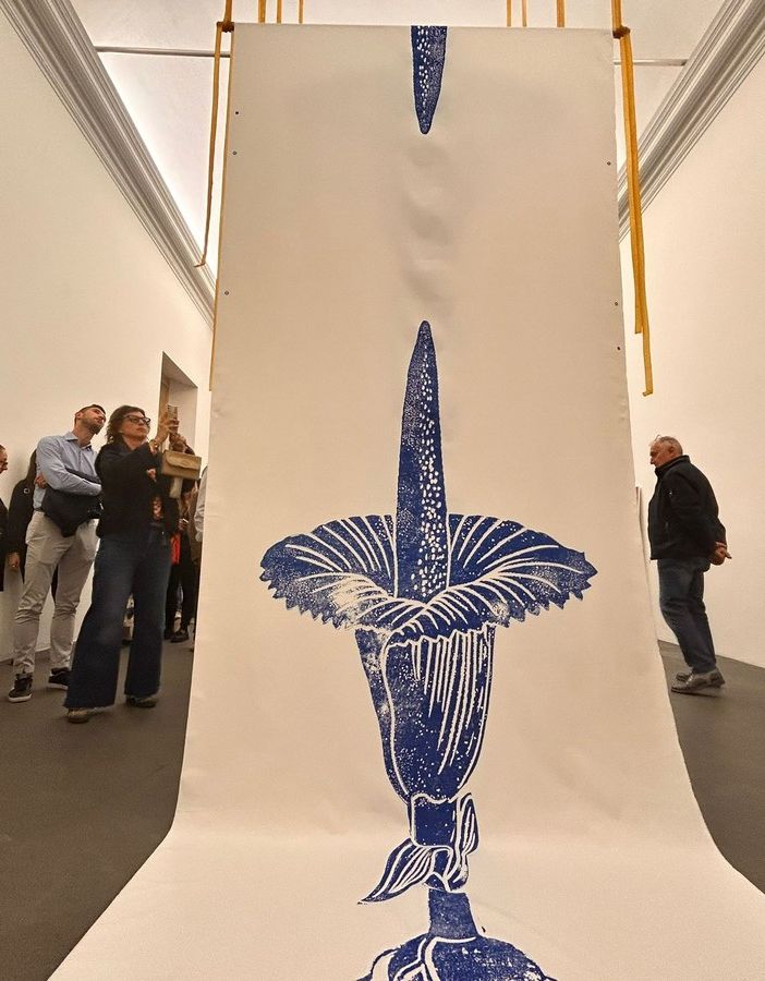 mostra fondazione Crc a Rivoli