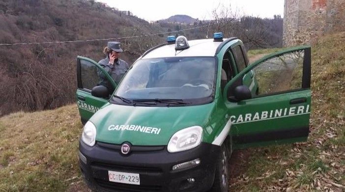 Auto dei carabinieri forestali