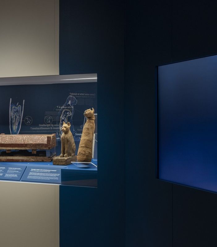 &quot;Archeologia invisibile&quot;: prorogata fino al giugno 2020 la mostra al Museo Egizio