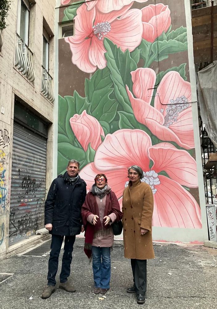 murales doa oa