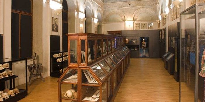 museo lombroso