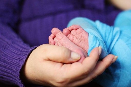Il neonato abbandonato ritrovato tra i rifiuti a gennaio ha una nuova famiglia