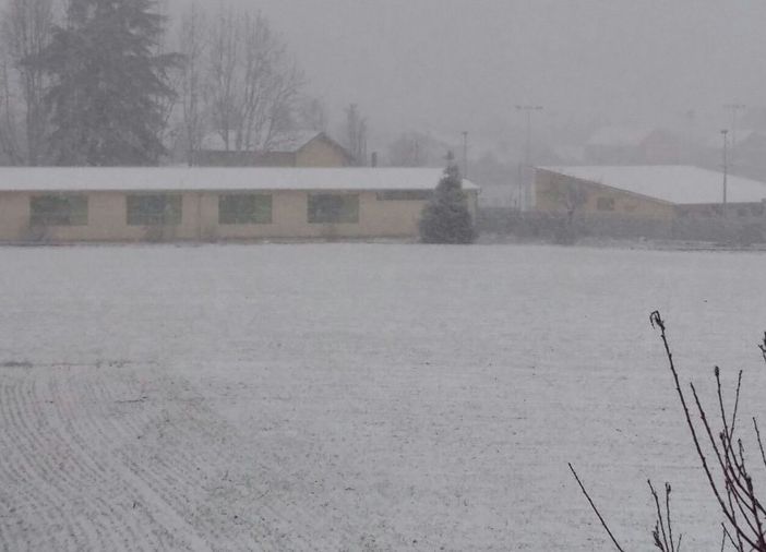 Neve, Coldiretti Piemonte: &quot;Boccata d'ossigeno contro la siccità, ma attenzione alla colture per il gelo&quot;
