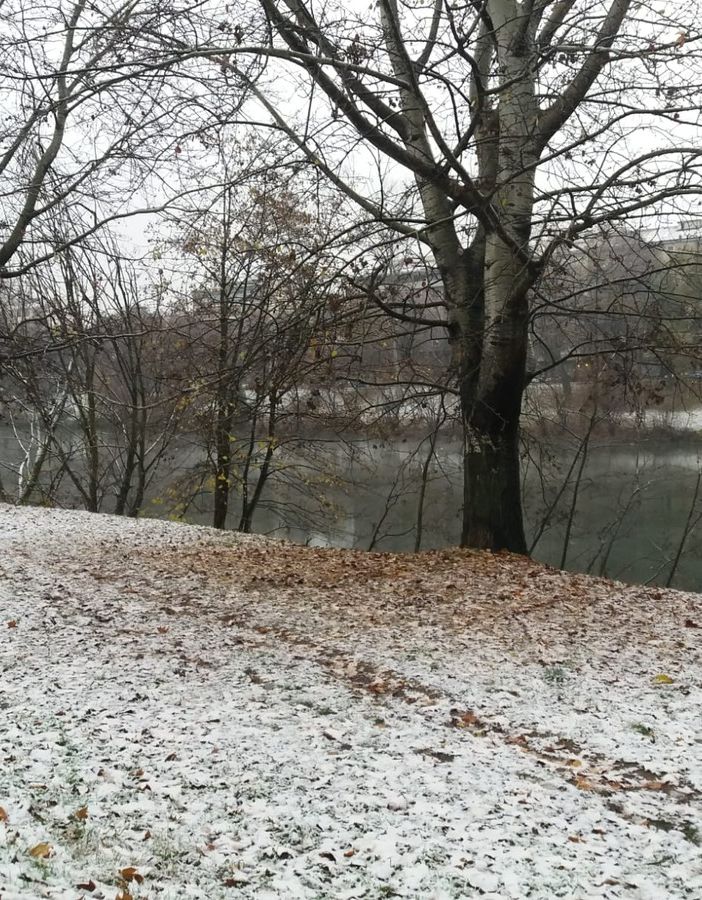 La prima neve a Torino