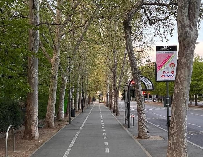 viale nichelino ripulito dai rifiuti