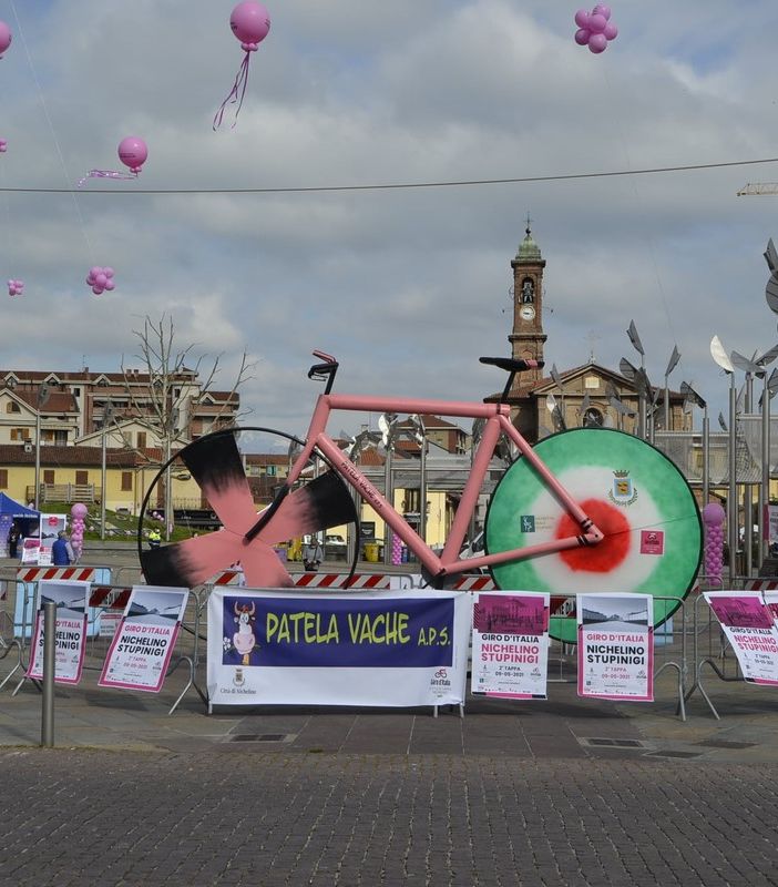 nichelino in rosa