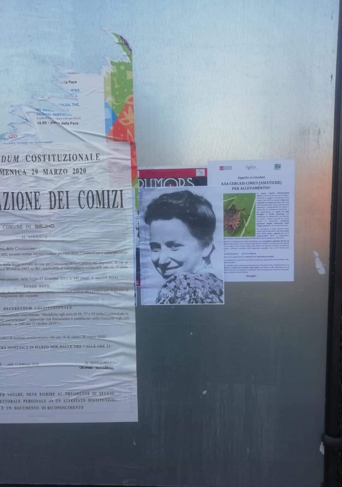 Bruino, manifesti con il volto di Norma Cossetto affissi per il centro