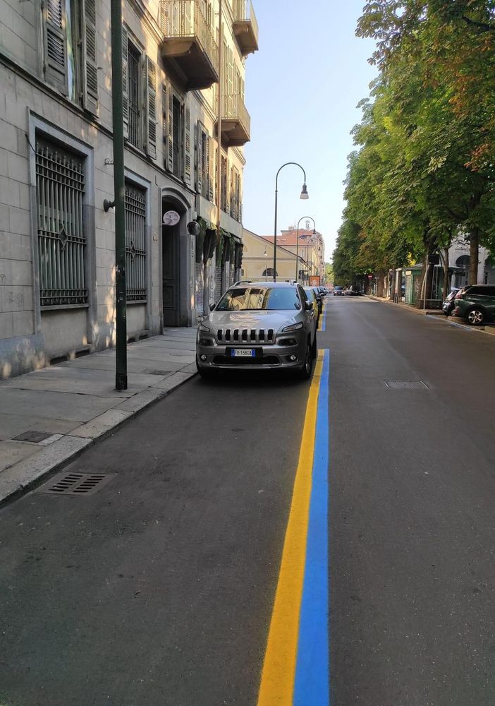 Strisce blu e gialle in centro a Torino con auto parcheggiate