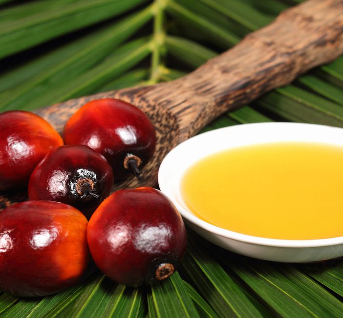 “Olio di palma? Le nostre aziende sempre pronte a trovare soluzioni alternative”