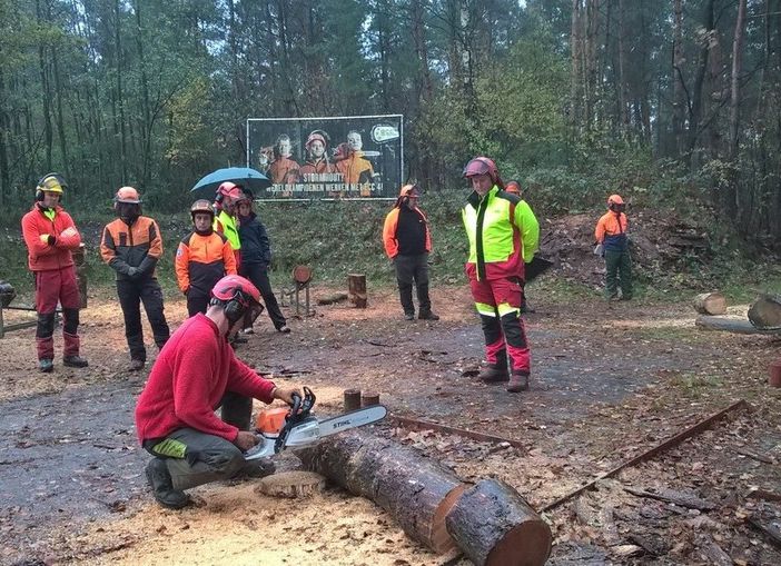 Lavoro: la Regione cerca 18 operai per cantieri forestali e vivai