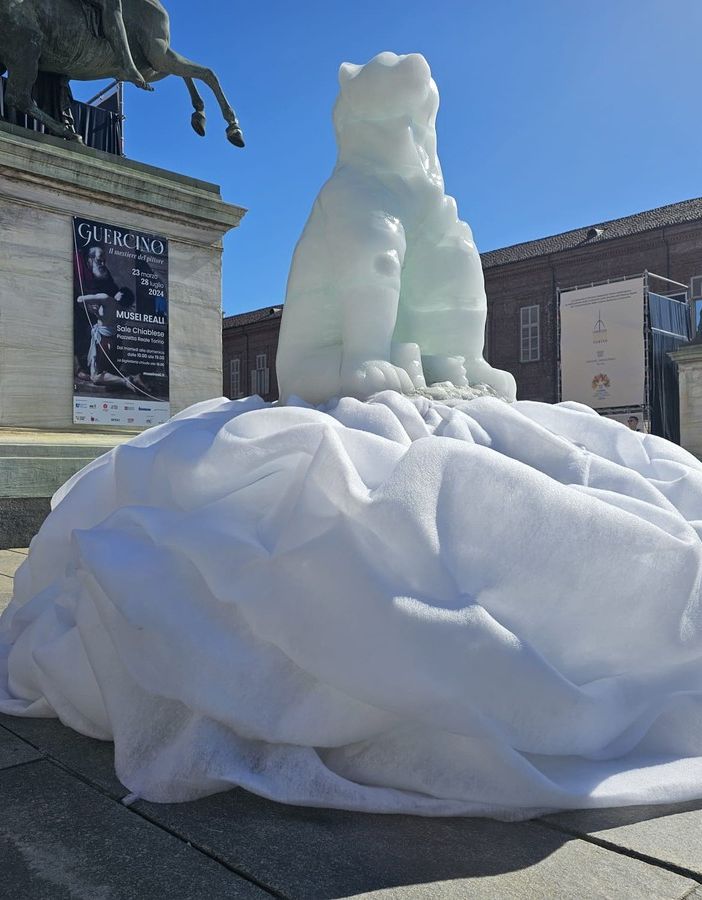 orso polare scultura in piazza Castello