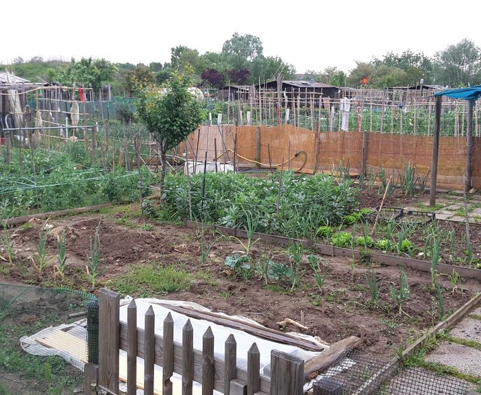 Orti urbani a secco: i coltivatori torinesi aspettano da mesi la riparazione dell’impianto idrico