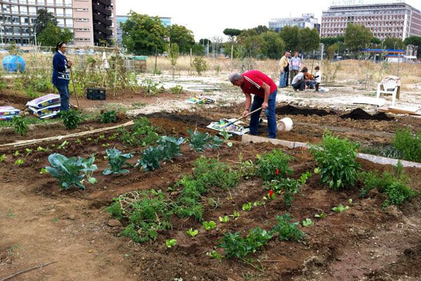 Orti generali, il progetto di un parco a Mirafiori sud