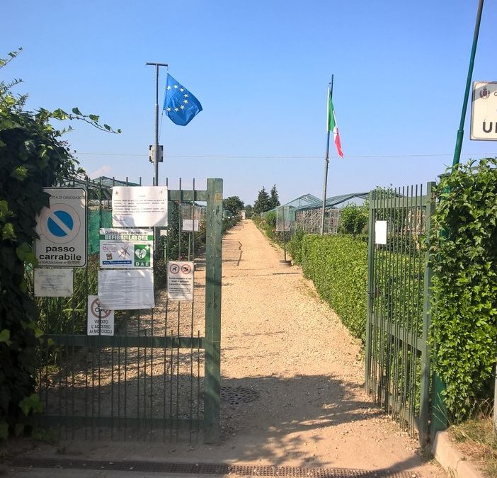 orti urbani - foto di repertorio