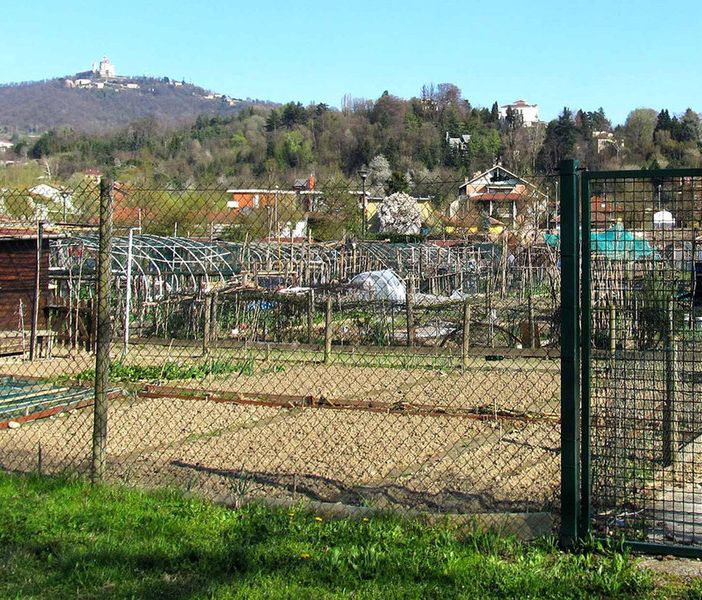 AAA Aspiranti Ortolani cercasi a Parco Dora