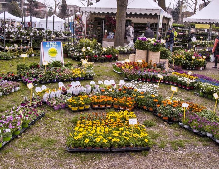 A Carmagnola la 31esima edizione di “Ortoflora &amp; Natura”