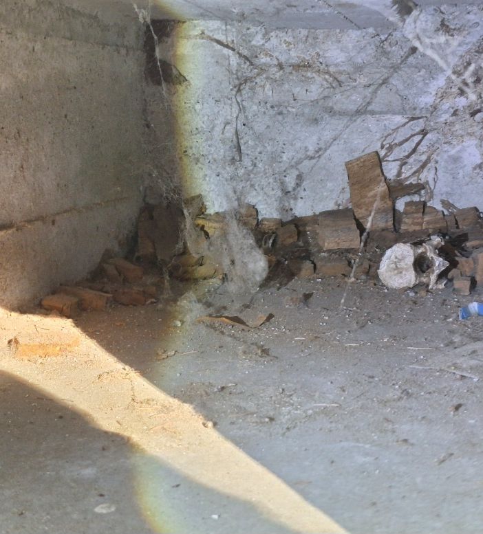 Orrore al cimitero Monumentale: &quot;Ossa in vista e loculi scoperti&quot;