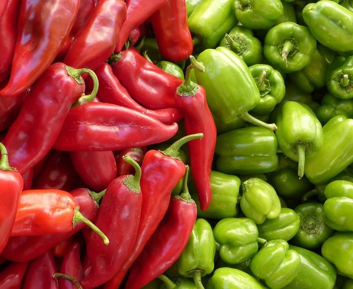 Venaria Reale, prima edizione de “Il campo in pizza-Il mercato sostenibile”