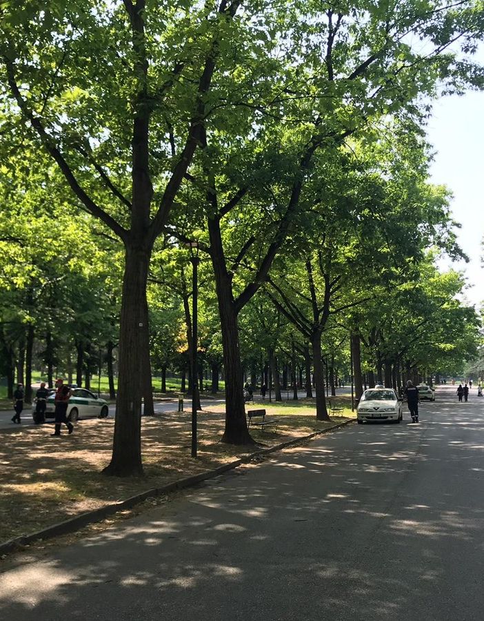Fase 2: a Torino nuove corsie per pedoni e bici, tornano aree gioco e fitness nei parchi