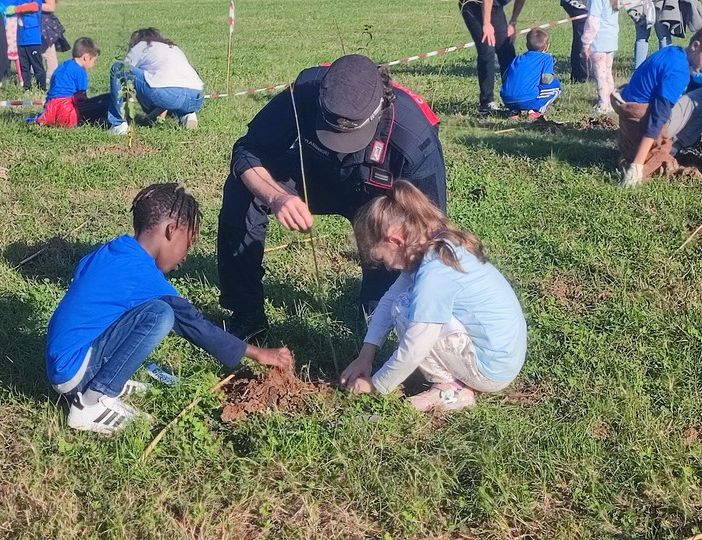 Al parco Colonnetti nato il bosco piantato dai bambini