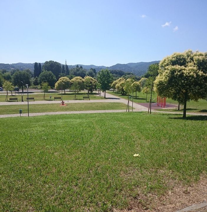 Verde pubblico, buone pratiche e casi studio: a Settimo un focus sulla gestione dell'ecosistema urbano