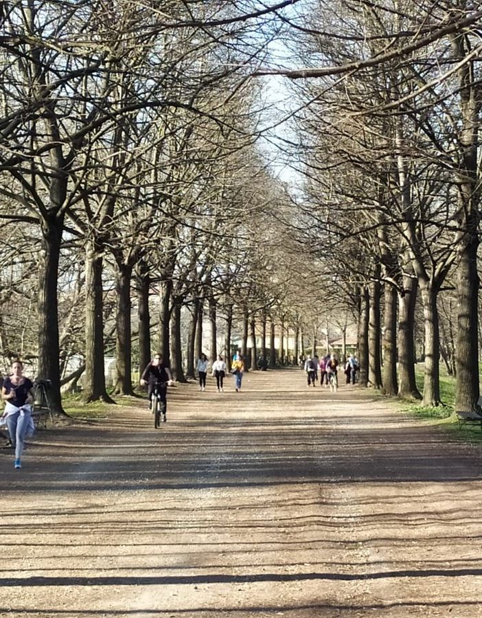Il parco della Colletta